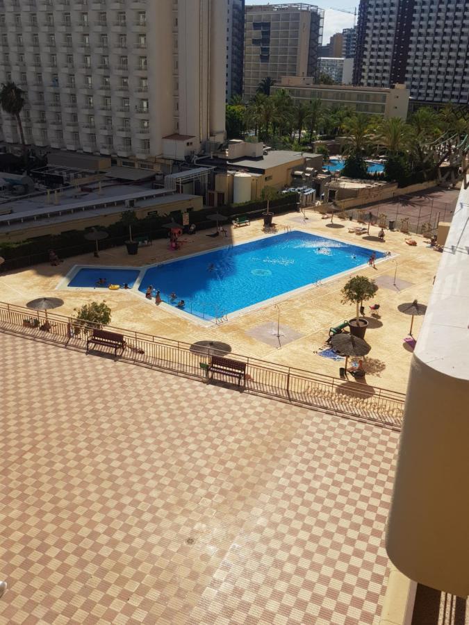 Acuarium 3-Fincas Benidorm Ngoại thất bức ảnh